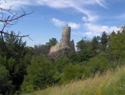 Resize of Talpa 009.jpg